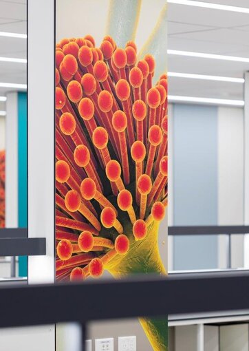 Fundermax Middlemore Hospital Labor aus Max Compact Interior in den Dekoren 0085, 0706, 0647, 0056 sowie der Oberfläche FH