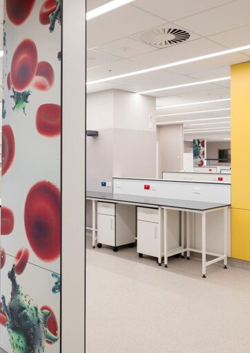 Fundermax Middlemore Hospital Labor aus Max Compact Interior in den Dekoren 0085, 0706, 0647, 0056 sowie der Oberfläche FH