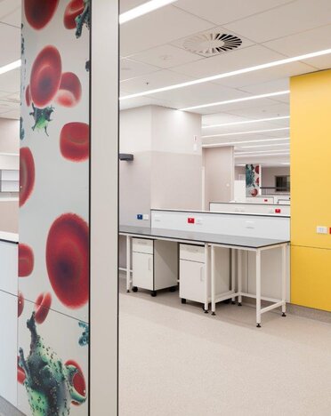 Fundermax Middlemore Hospital Labor aus Max Compact Interior in den Dekoren 0085, 0706, 0647, 0056 sowie der Oberfläche FH