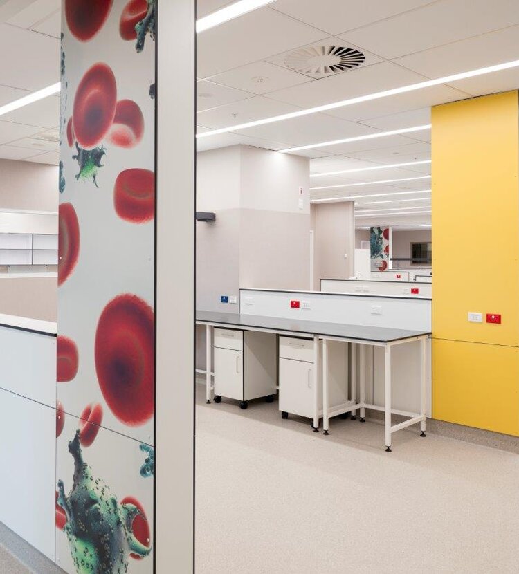 Fundermax Middlemore Hospital Labor aus Max Compact Interior in den Dekoren 0085, 0706, 0647, 0056 sowie der Oberfläche FH